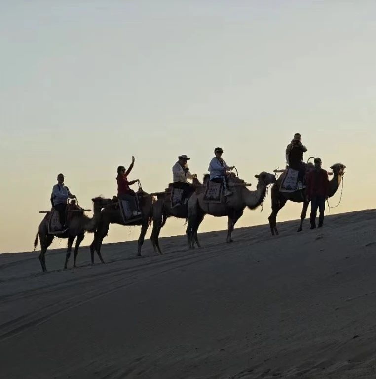 163630_167930_gsdt.jpg 163630_167930_gsdt.jpg