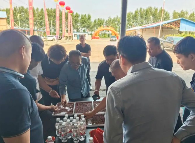 091215_664327_gsdt.png 091215_664327_gsdt.png