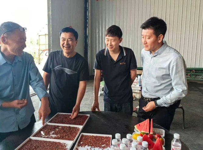 091242_046802_gsdt.png 091242_046802_gsdt.png