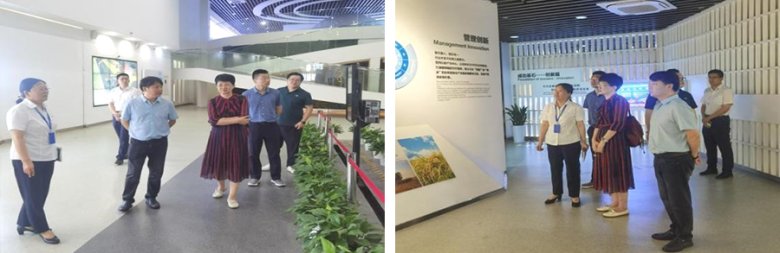 082520_569864_gsdt.png 082520_569864_gsdt.png