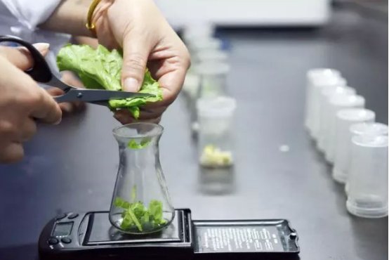 094507_396412_gsdt.png image.png