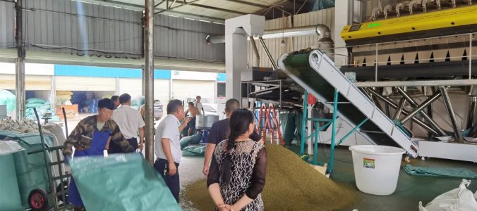 134539_077611_gsdt.png 134539_077611_gsdt.png