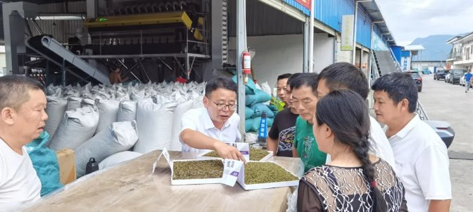 134607_386574_gsdt.png 134607_386574_gsdt.png