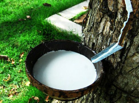 Խ𽺳ڽŻ
