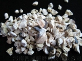 56չڲֵ