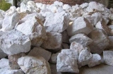 56չڲֲؾʯ