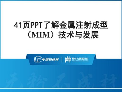 41ҳPPT˽עͣMIM뷢չ