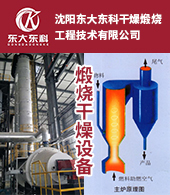 沈阳东大东科干燥煅烧工程技术有限公?></a><div style=