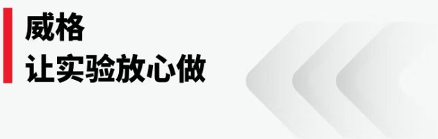 135446_563565_gsdt.png
