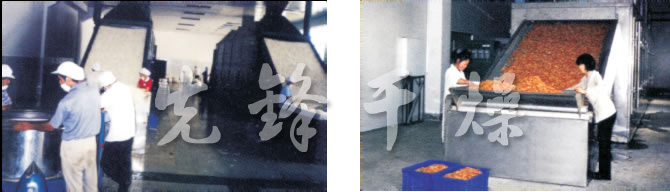 DW多层带式干燥?/><br/><strong>技术规栻/strong>?</p><table style=