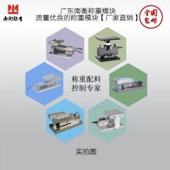 广东南衡称重模块的图?/></a></div> <div class=