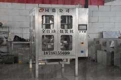 自制袋PE膜智能包装机的图?/></a></div>              <div class=