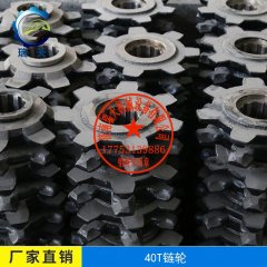 40T链轮锻造七星轮的图?/></a></div> <div class=