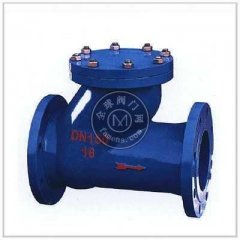 球型球形止回阀HQ41X的图?/></a></div> <div class=