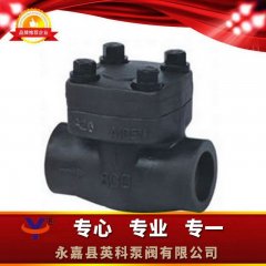 H61H锻钢升降止回阀的图?/></a></div> <div class=