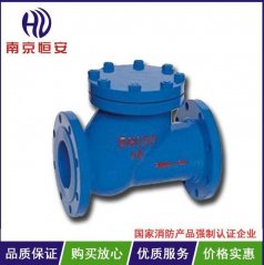 HQ41X滑道滚球式止回阀的图?/></a></div> <div class=