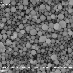 FLPG10雾化铝粉的图?/></a></div>              <div class=