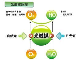 光触?11.jpg