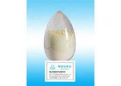 纳米ZnO的图?/></a></div>              <div class=