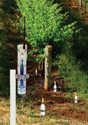 SapIP茎流（液流）监测网络的图?/></a></div> <div class=