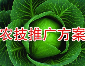 天平的图?/></a></div> <div class=