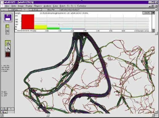 SpectraScan-R根系光谱扫描成像分析系统的图?/></a></div> <div class=