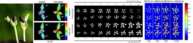 PhenoTron作物种质资源监测鉴定平台的图?/></a></div> <div class=