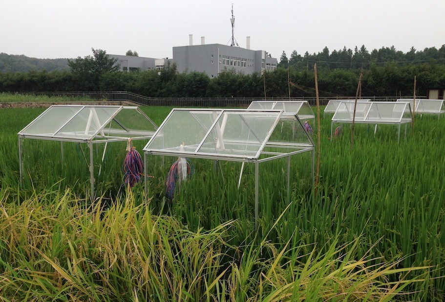 OTC-Auto原位（in-situ）群落光?呼吸监测系统的图?/></a></div> <div class=