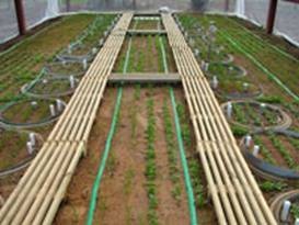 SoilTron-Rhizo根系生态观测蒸渗仪的图?/></a></div> <div class=