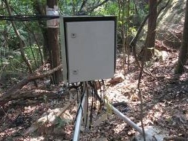 植物茎流叶温监测系统的图?/></a></div> <div class=