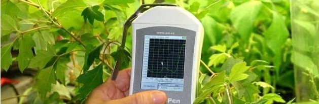 PolyPen RP-400手持式植物光谱测量仪的图?/></a></div> <div class=