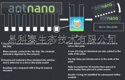 酶检测试剂工具包的图?/></a></div> <div class=