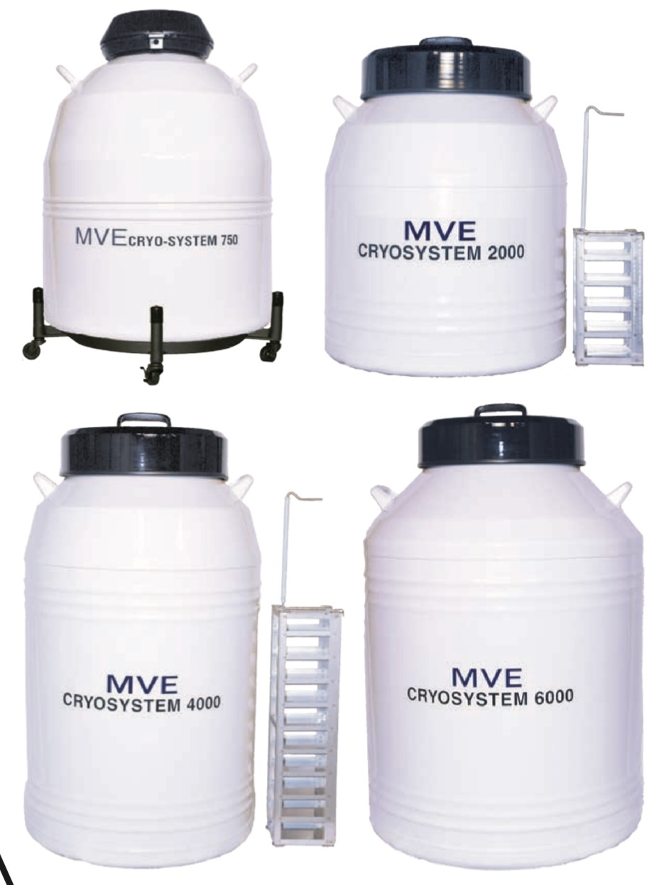 MVE液相细胞储存罐Cryosystem6000的图?/></a></div>              <div class=