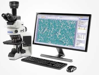 奥林巴斯Stream图像分析软件的图?/></a></div> <div class=