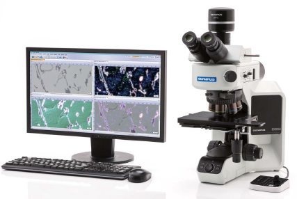 奥林巴斯金相显微镜正置金相显微镜BX53M的图?/></a></div> <div class=