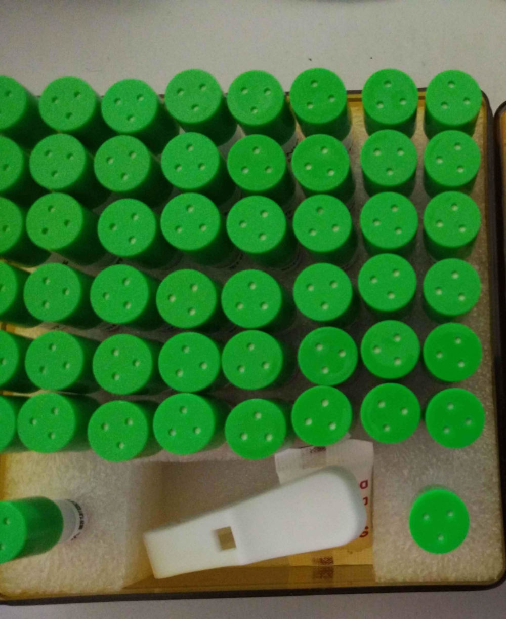 枯草芽孢杆菌灭菌生物指示剂的图片