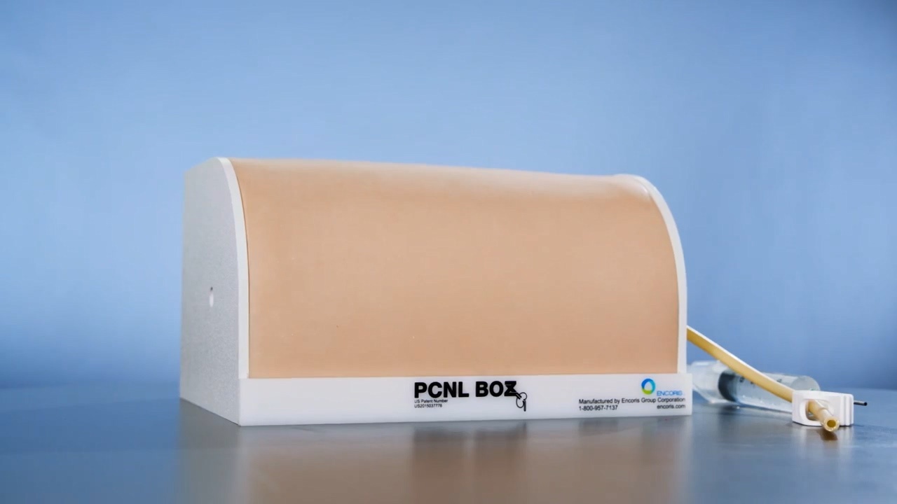经皮穿刺肾镜技能训练模型PCNL肾脏模拟的图?/></a></div> <div class=