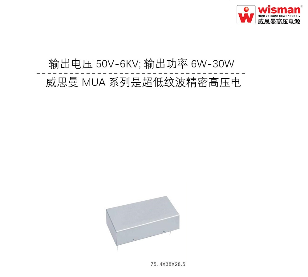 威思曼质谱脉冲源高压电源模块MUA 6kv/30w的图?/></a></div> <div class=