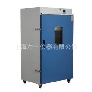 300度DHG-9625A立式大型实验室恒温鼓风干燥箱的图?/></a></div> <div class=
