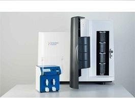 Genomic Vision分子梳平台的图片