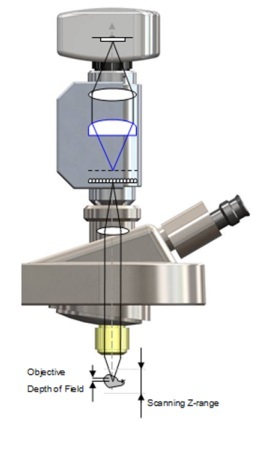 Phaseview3D显微成像系统Insight的图?/></a></div></div></div>         <div class=
