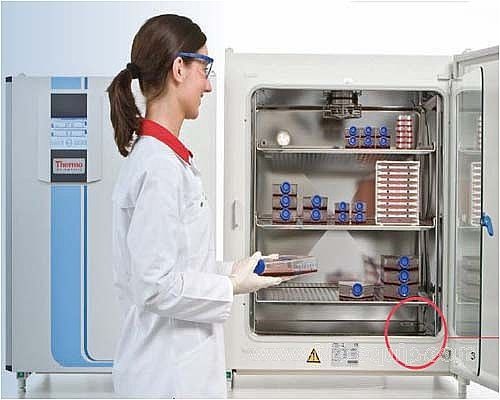 二手ThermoCO2培养?50i的图?/></a></div> <div class=