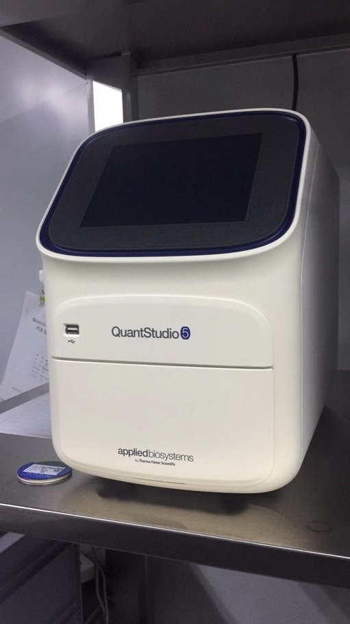 二手ABI荧光定量PCR仪QuantStudio5的图?/></a></div> <div class=