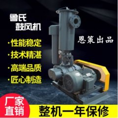 龙铁LT-200鲁氏鼓风机（粉粒体配套风机）的图?/></a></div> <div class=