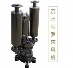 沉水罗茨风机100的图?/></a></div> <div class=