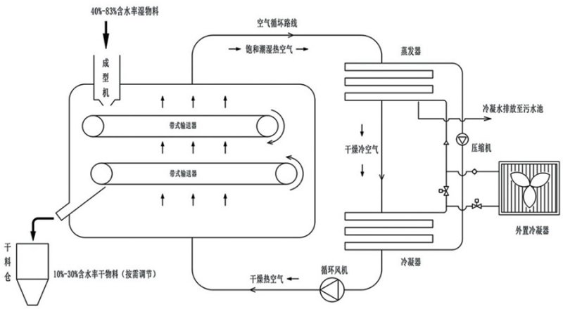 森贝? class=