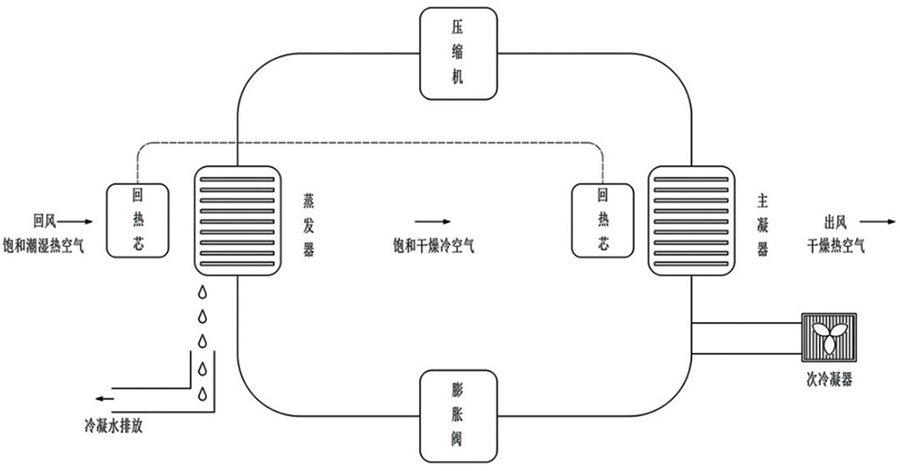 森贝? class=