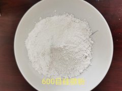 600目硅微粉的图?/></a></div>              <div class=