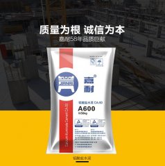 嘉耐 CA50-A600的图?/></a></div>              <div class=