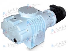 ZJ型罗茨真空泵的图?/></a></div>              <div class=